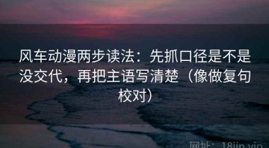 风车动漫两步读法：先抓口径是不是没交代，再把主语写清楚（像做复句校对）