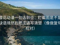 樱花动漫一句话到位：盯截图是不是缺语境然后把主语写清楚（像做复句校对）